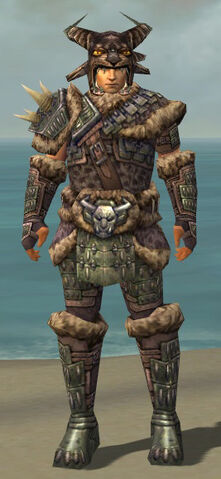File:Warrior Charr Hide Armor M gray front.jpg