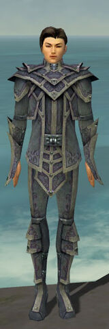 File:Elementalist Krytan Armor M gray front.jpg