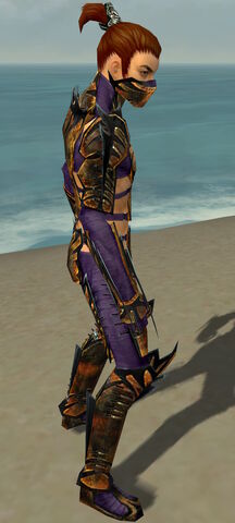 File:Assassin Elite Exotic Armor M dyed side.jpg