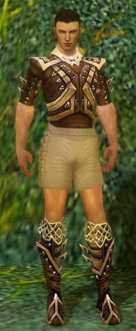 File:Ranger Elite Kurzick Armor M gray chest feet front.jpg