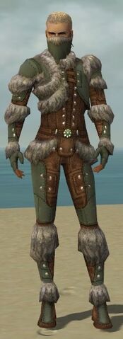 File:Ranger Fur-Lined Armor M gray front.jpg