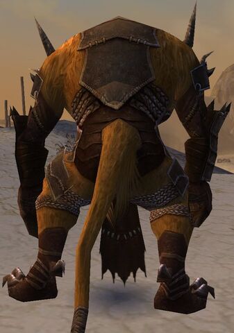 File:Pyre Fierceshot Armor Charr Back.jpg