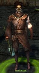 Am Fah Healer