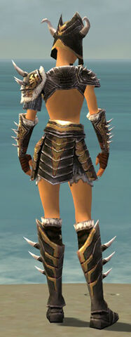 File:Warrior Norn Armor F dyed back.jpg