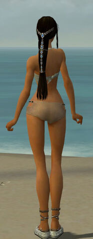 File:Dervish Vabbian Armor F gray chest feet back.jpg