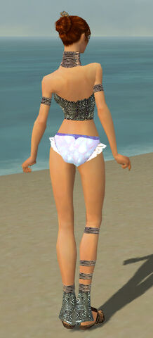 File:Elementalist Istani Armor F gray chest feet back.jpg
