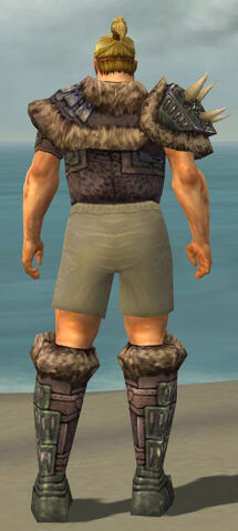 File:Warrior Charr Hide Armor M gray chest feet back.jpg