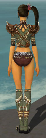File:Ritualist Imperial Armor F gray chest feet back.jpg