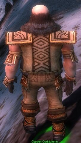File:Ogden Stonehealer Armor Deldrimor Back.jpg