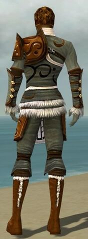 File:Ranger Canthan Armor M gray back.jpg