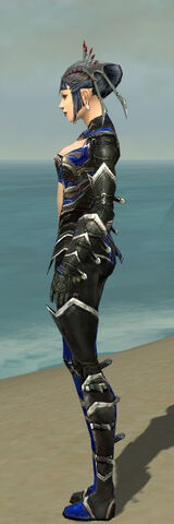 File:Necromancer Kurzick Armor F dyed side.jpg