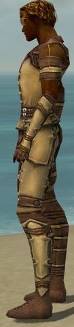 File:Ranger Ascalon Armor M dyed side.jpg