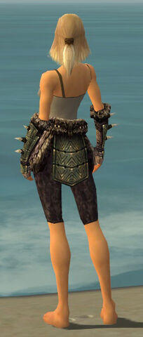 File:Warrior Elite Charr Hide Armor F gray arms legs back.jpg
