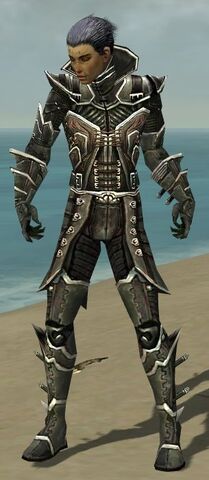 File:Necromancer Elite Kurzick Armor M gray front.jpg