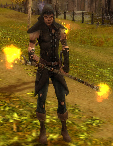 File:BanditRaider.jpg