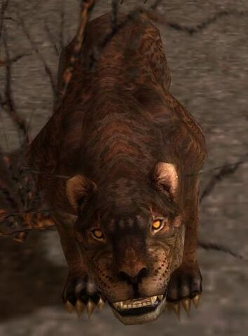 File:Melandru's Stalker (POST).jpg