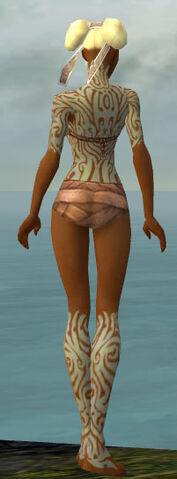 File:Monk Flowing Armor F gray chest feet back.jpg