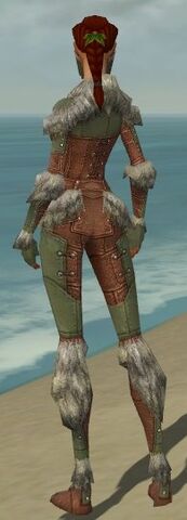File:Ranger Fur-Lined Armor F gray back.jpg