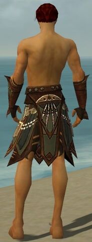 File:Ritualist Monument Armor M gray arms legs back.jpg