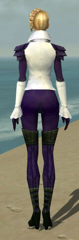 File:Mesmer Ascalon Armor F dyed back.jpg