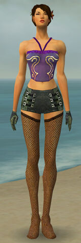 File:Mesmer Kurzick Armor F gray arms legs front.jpg