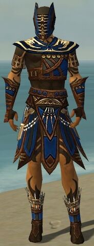 File:Ritualist Monument Armor M dyed front.jpg