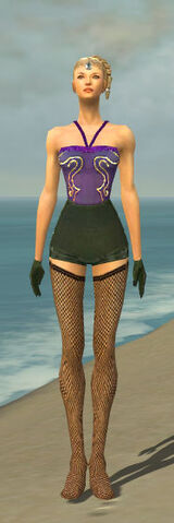 File:Mesmer Courtly Armor F gray arms legs front.jpg