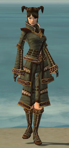 File:Monk Elite Kurzick Armor F gray front.jpg