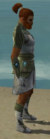 File:Paragon Monument Armor M gray side.jpg