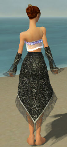 File:Elementalist Elite Canthan Armor F gray arms legs back.jpg