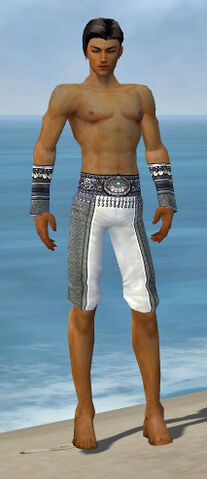File:Elementalist Luxon Armor M gray arms legs front.jpg