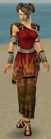 File:Monk Sunspear Armor F dyed front.jpg