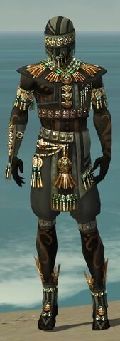 File:Ritualist Elite Luxon Armor M gray front.jpg