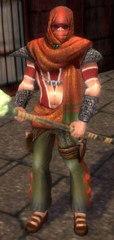 File:Luxon Guard Divine Path.jpg