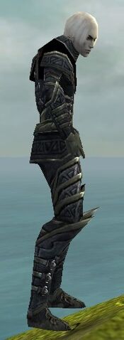 File:Necromancer Elite Cultist Armor M gray side.jpg