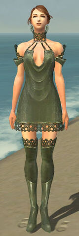 File:Mesmer Enchanter Armor F gray chest feet front.jpg