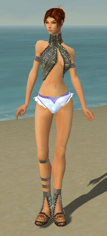 File:Elementalist Istani Armor F gray chest feet front.jpg