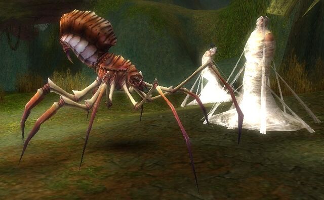 File:Spider Queen.jpg
