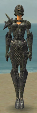 File:Warrior Elite Platemail Armor F gray front.jpg