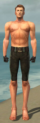 File:Mesmer Performer Armor M gray arms legs front.jpg