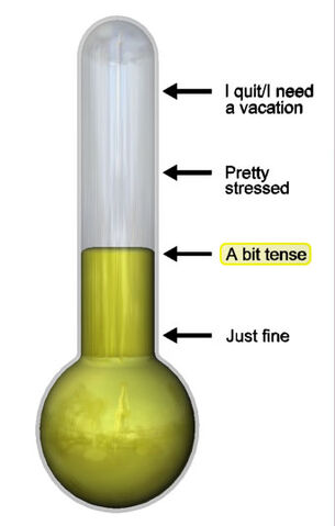 File:Wikistress3D 2 v3.jpg