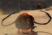 Infestation