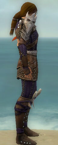 File:Ranger Studded Leather Armor M dyed side.jpg