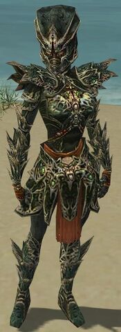 File:Warrior Elite Luxon Armor F gray front.jpg