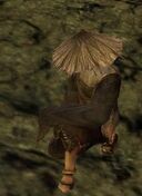 Canthan Poet