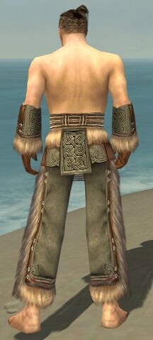 File:Monk Norn Armor M gray arms legs back.jpg