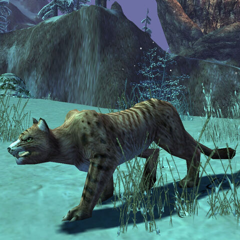 File:User Garreth MacLeod MacFurball.jpg