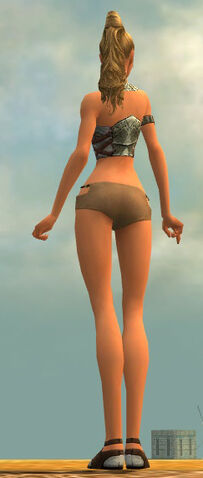 File:Light Breastplate F gray back.jpg