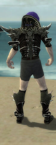 File:Necromancer Elite Luxon Armor M gray chest feet back.jpg