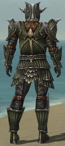 File:Warrior Wyvern Armor M gray back.jpg
